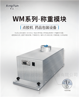 WM2204i銷售高精度稱重模塊廠家