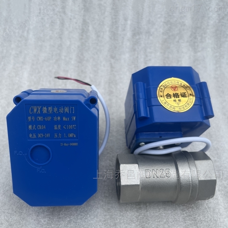 CWX-60P微型电动阀门.jpg